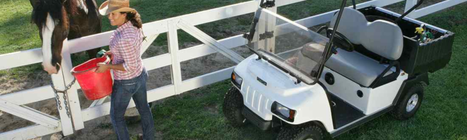 2020 Club Car Golf Carts for sale in The Golf Cart Company Clermont Florida